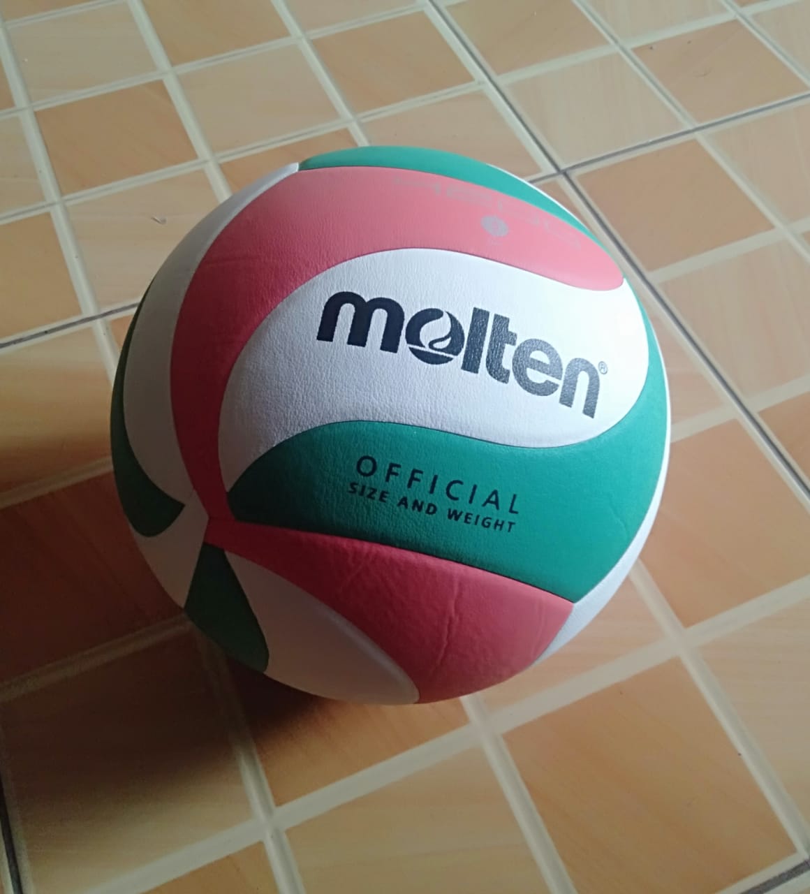 BOLA VOLLEY MOLTEN | SIPLah