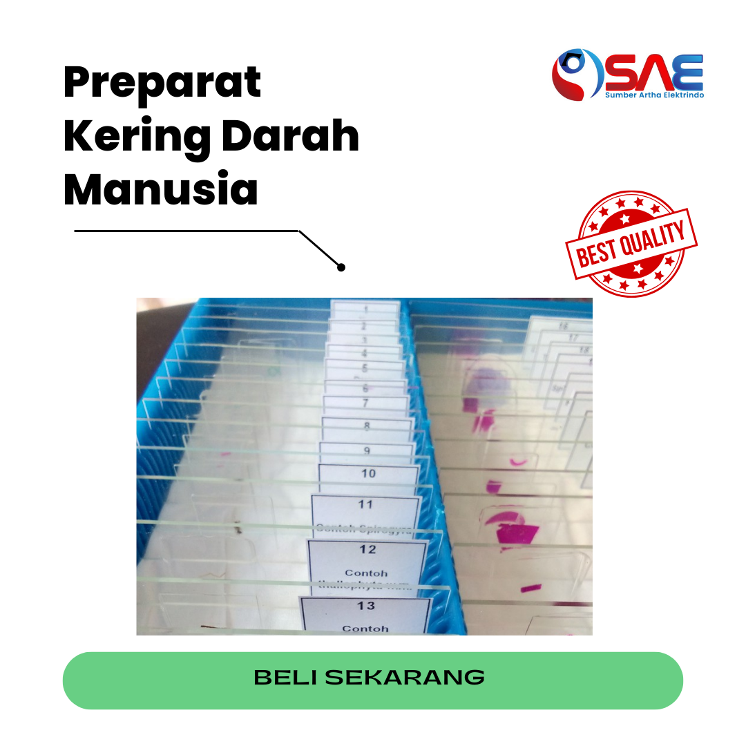 SIPLah Telkom - Belanja Keperluan Sekolah Online Makin Mudah