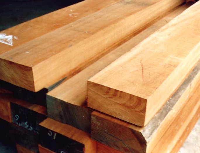 KAYU 5X5 CM | SIPLah