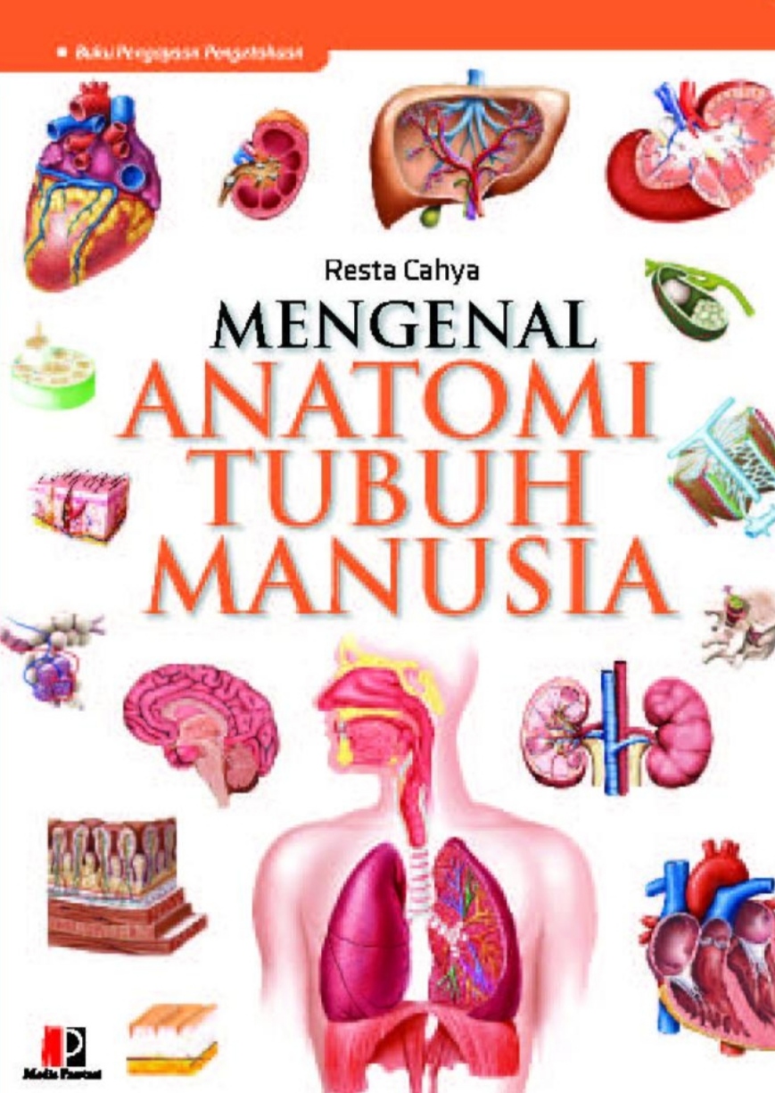 Mengenal Anatomi Tubuh Manusia | SIPLah