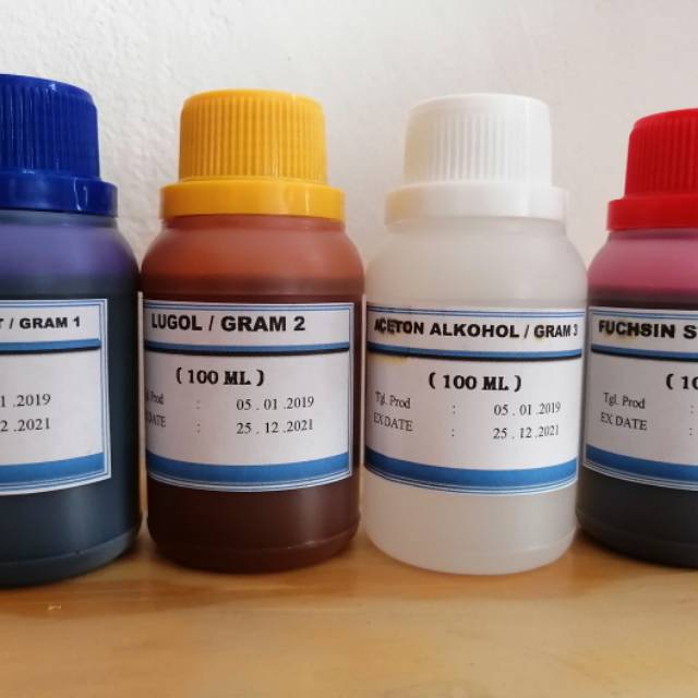 Cat Gram / Pewarnaan SIPLah