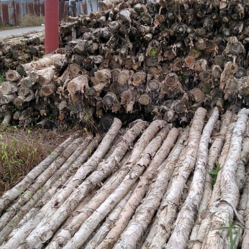 SIPLah Telkom Belanja Keperluan Sekolah Online Makin Mudah