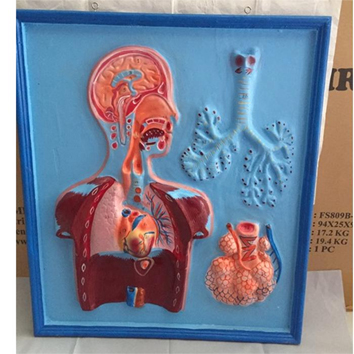 SIPLah Telkom - Belanja Keperluan Sekolah Online Makin Mudah