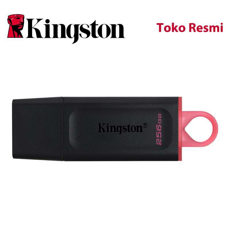 Flashdisk Kingstone 256 Gb | SIPLah